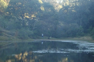  Um passeio na floresta 
